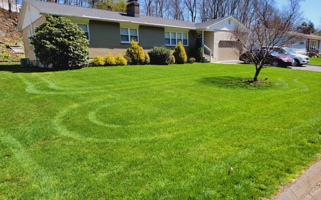 Professional Lawn Care Eagan MN Services for Homes and Businesses